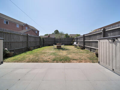 Picture 15